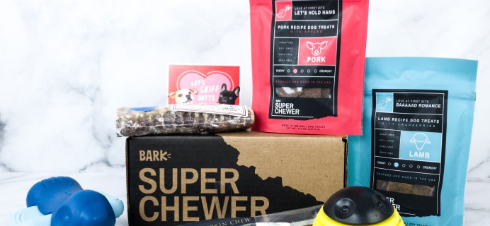 Super Chewer February 2020 Subscription Box Review + Coupon!