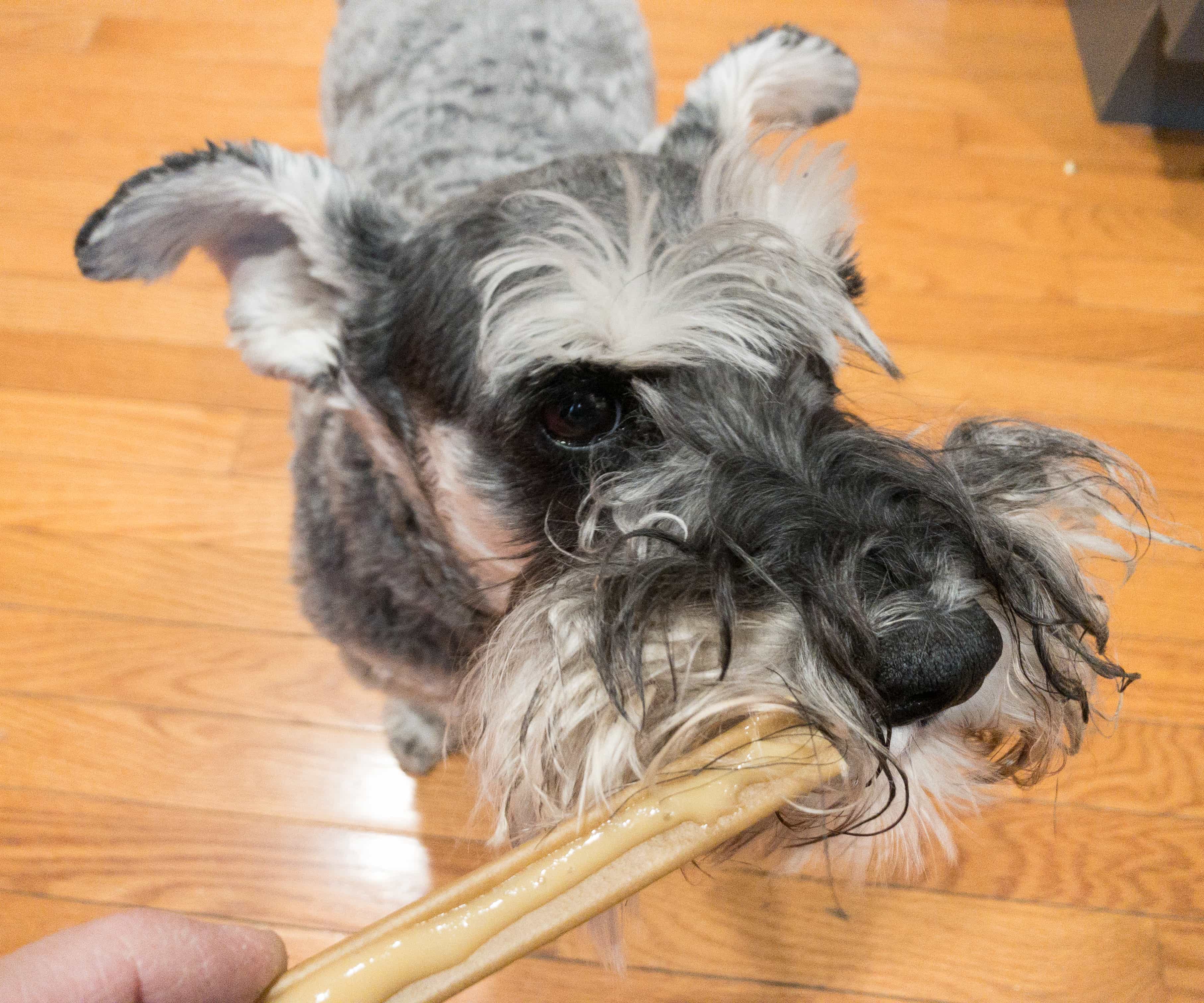 Bark Bright Dental Subscription Box Review hello subscription