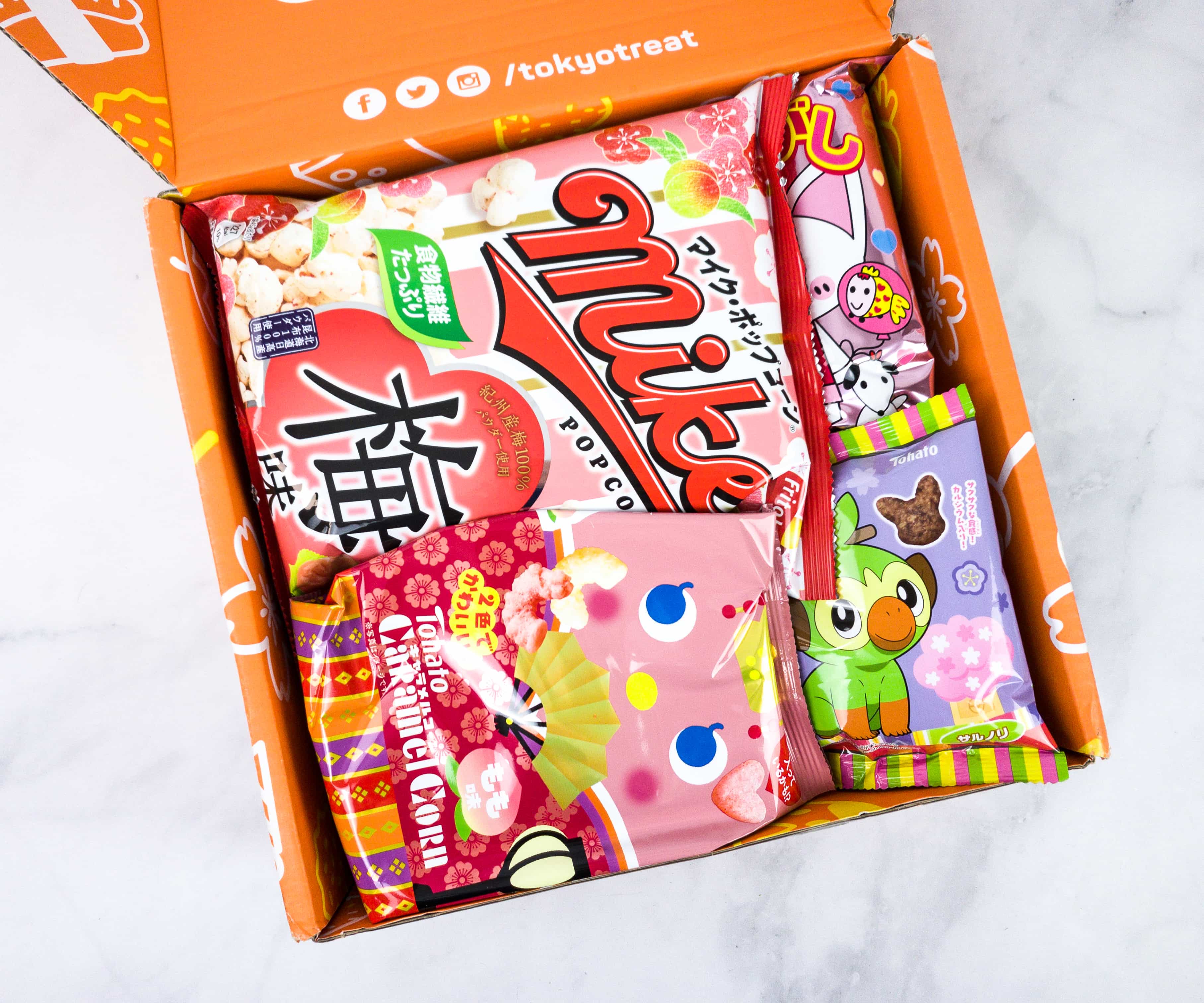 TokyoTreat March Box Snack Review - Sequential Planet