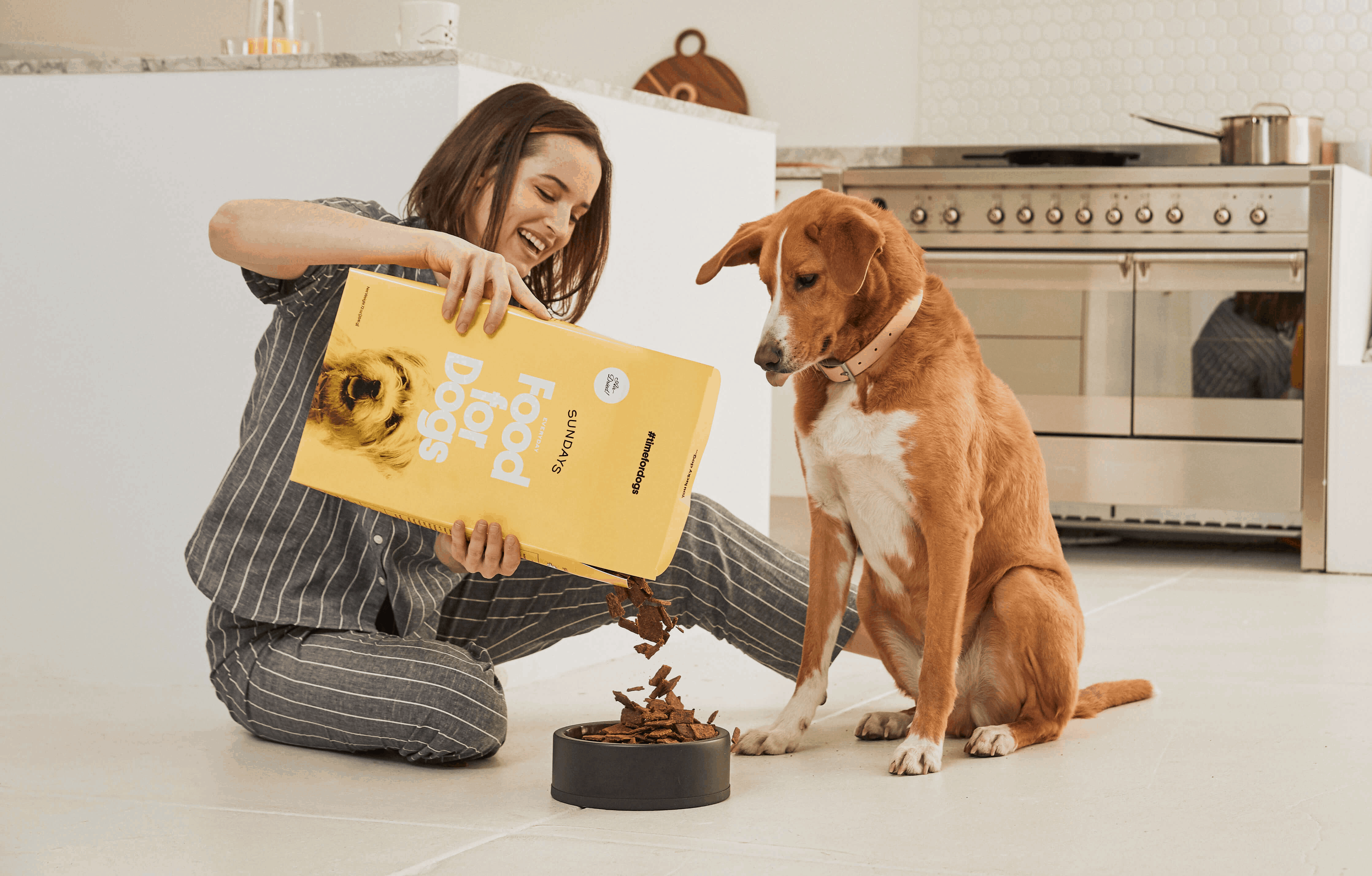 pet food subscription