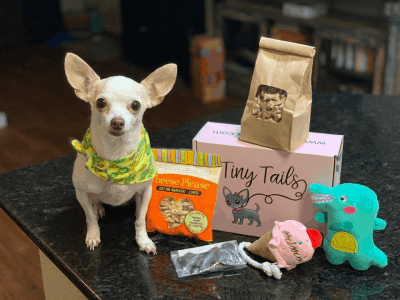 Tiny Tails Box – Review? Small Dogs Subscription + Coupon!