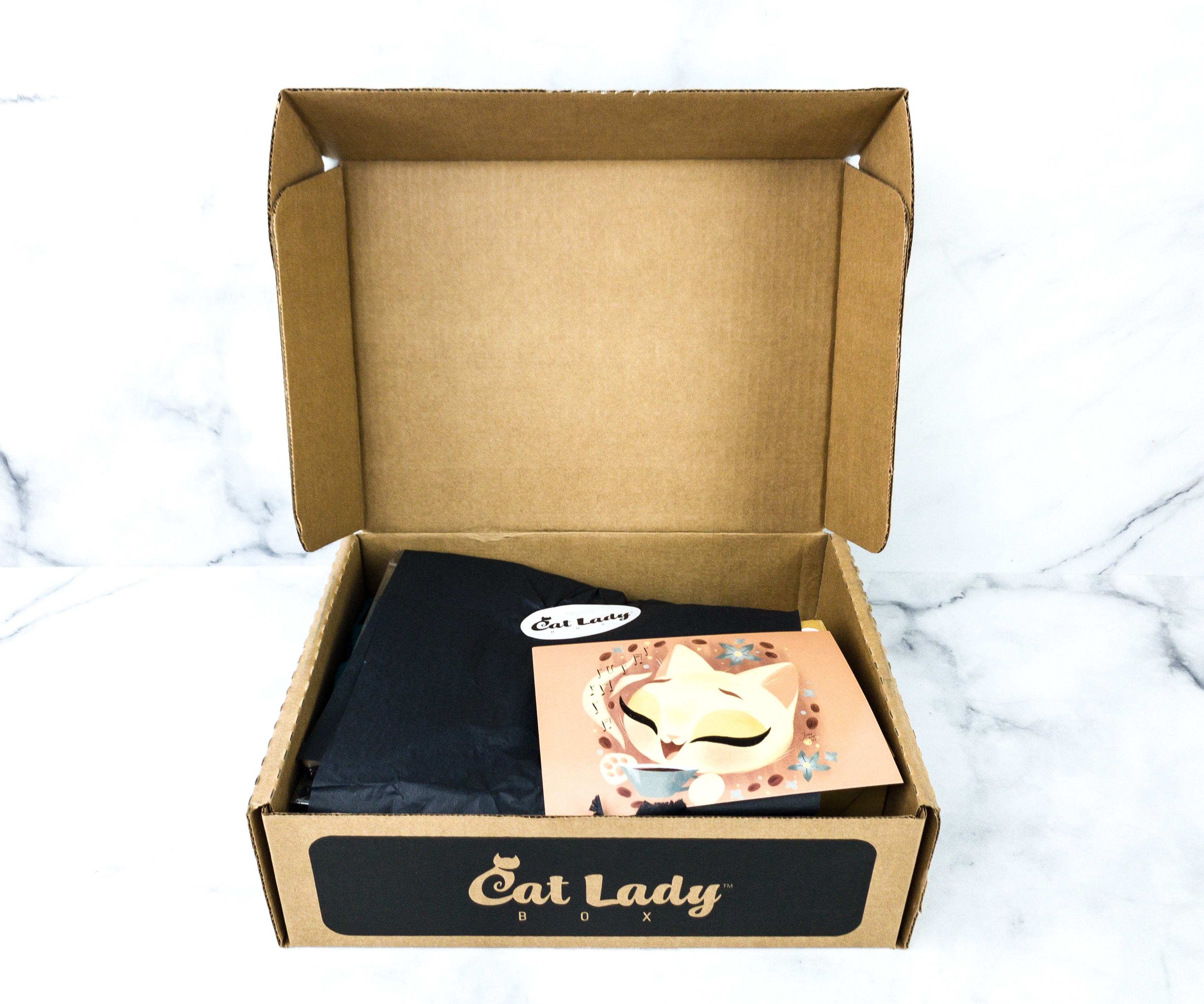 Cat Lady Box March Subscription Box Review Hello Subscription