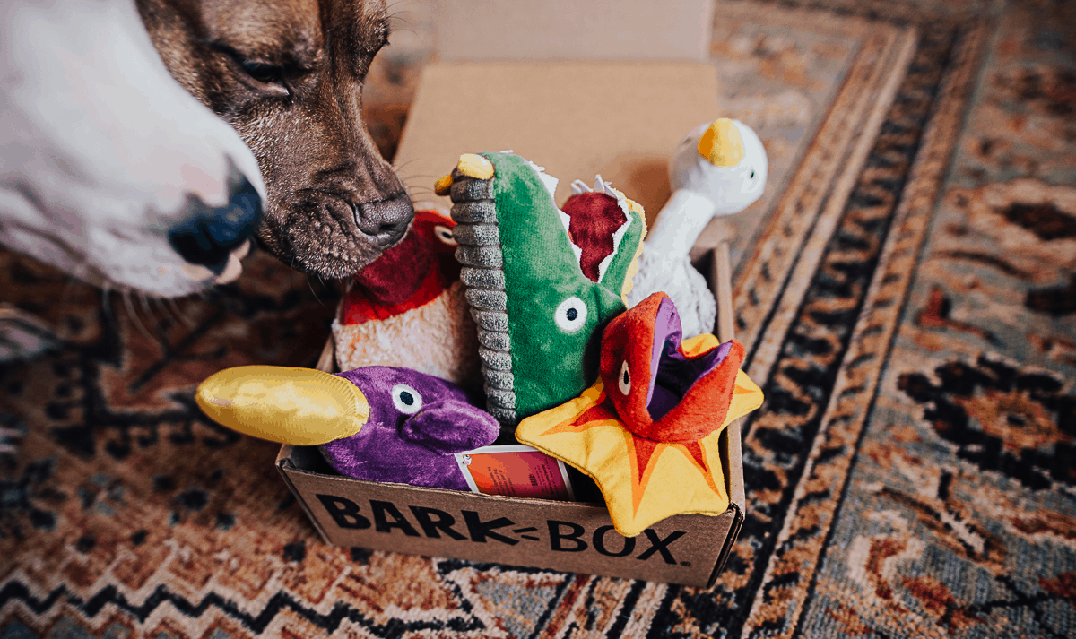 barkbox platypus