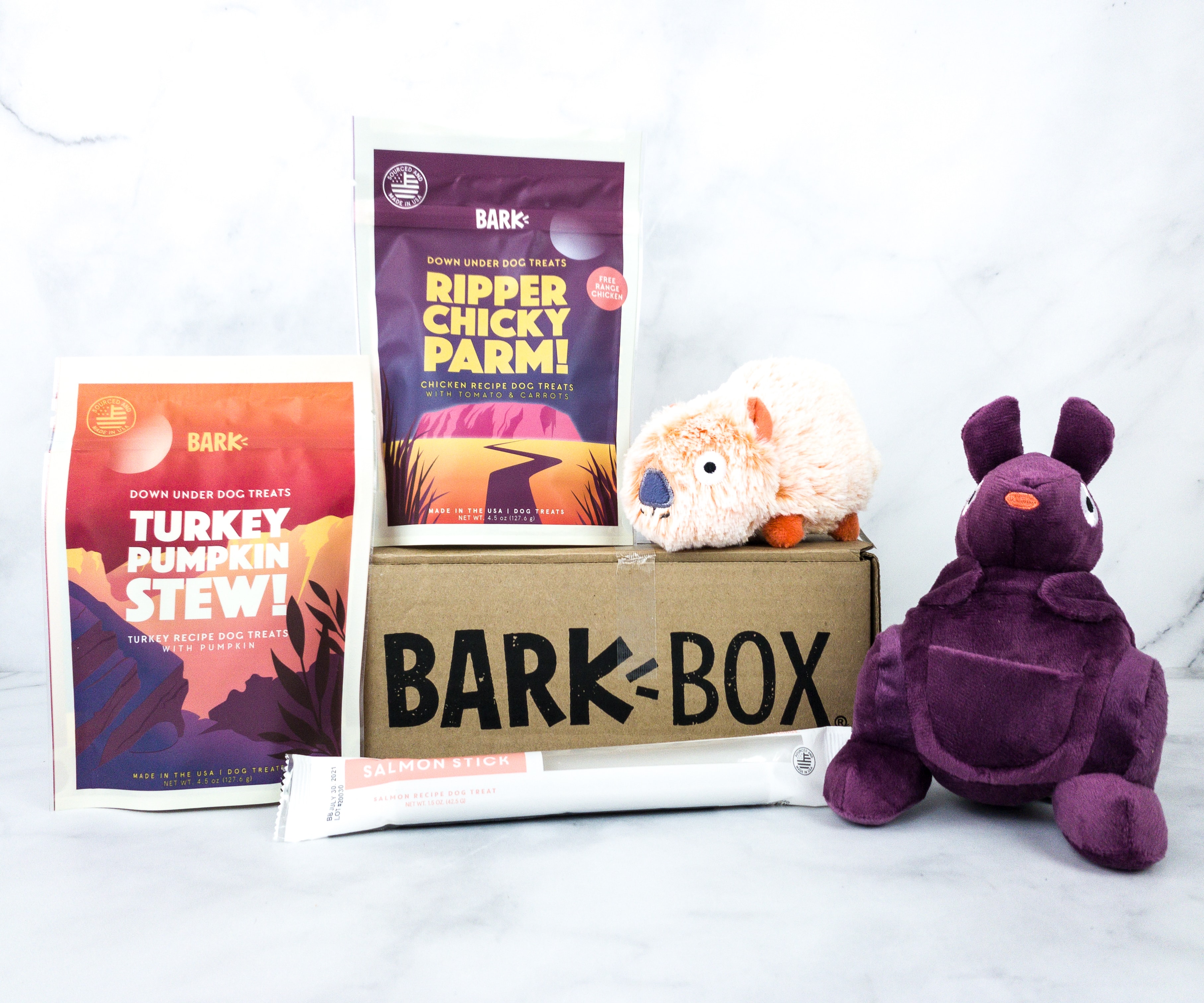 the bark box for dogs