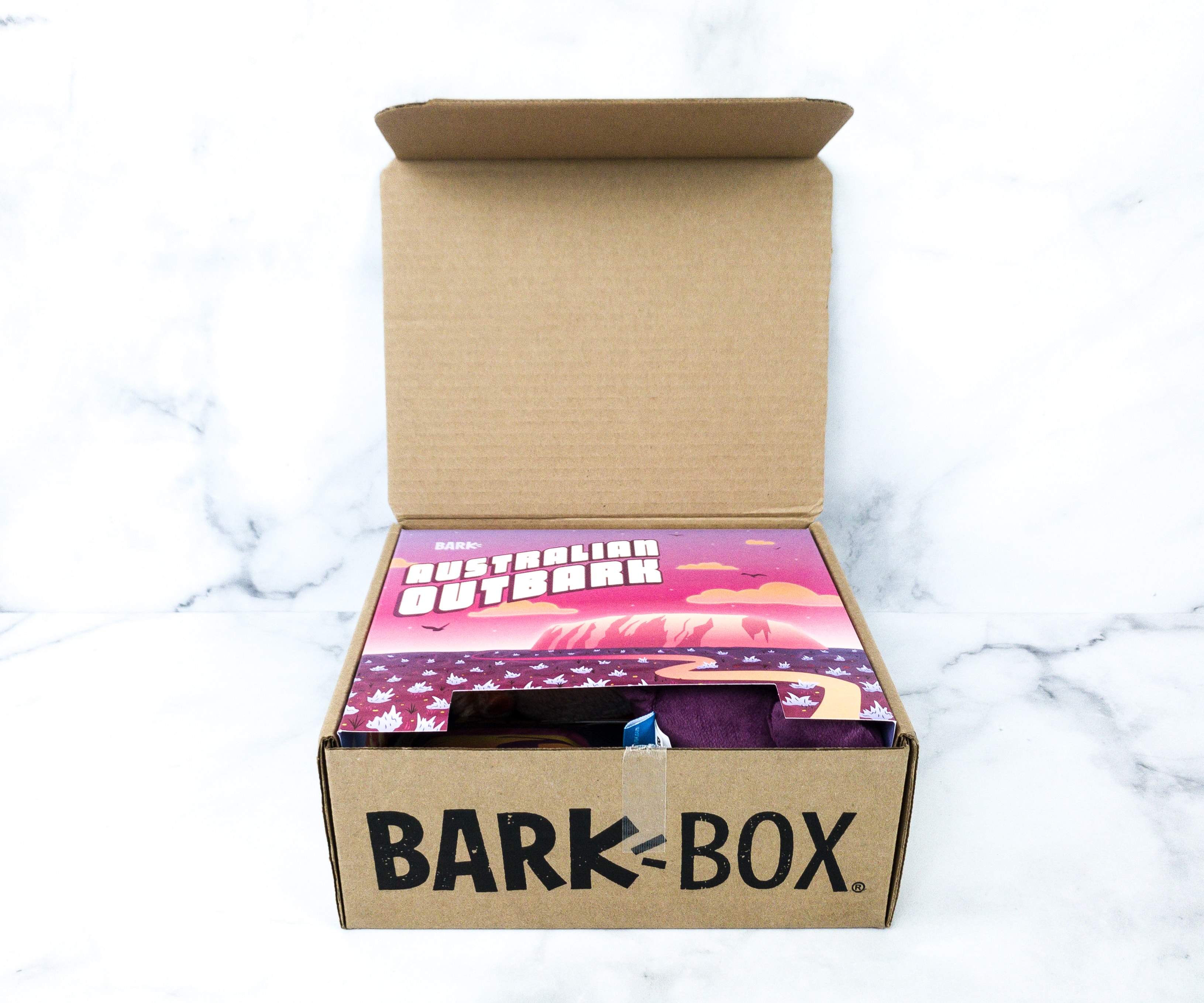 Barkbox March 2020 Subscription Box Review + Coupon - Hello Subscription