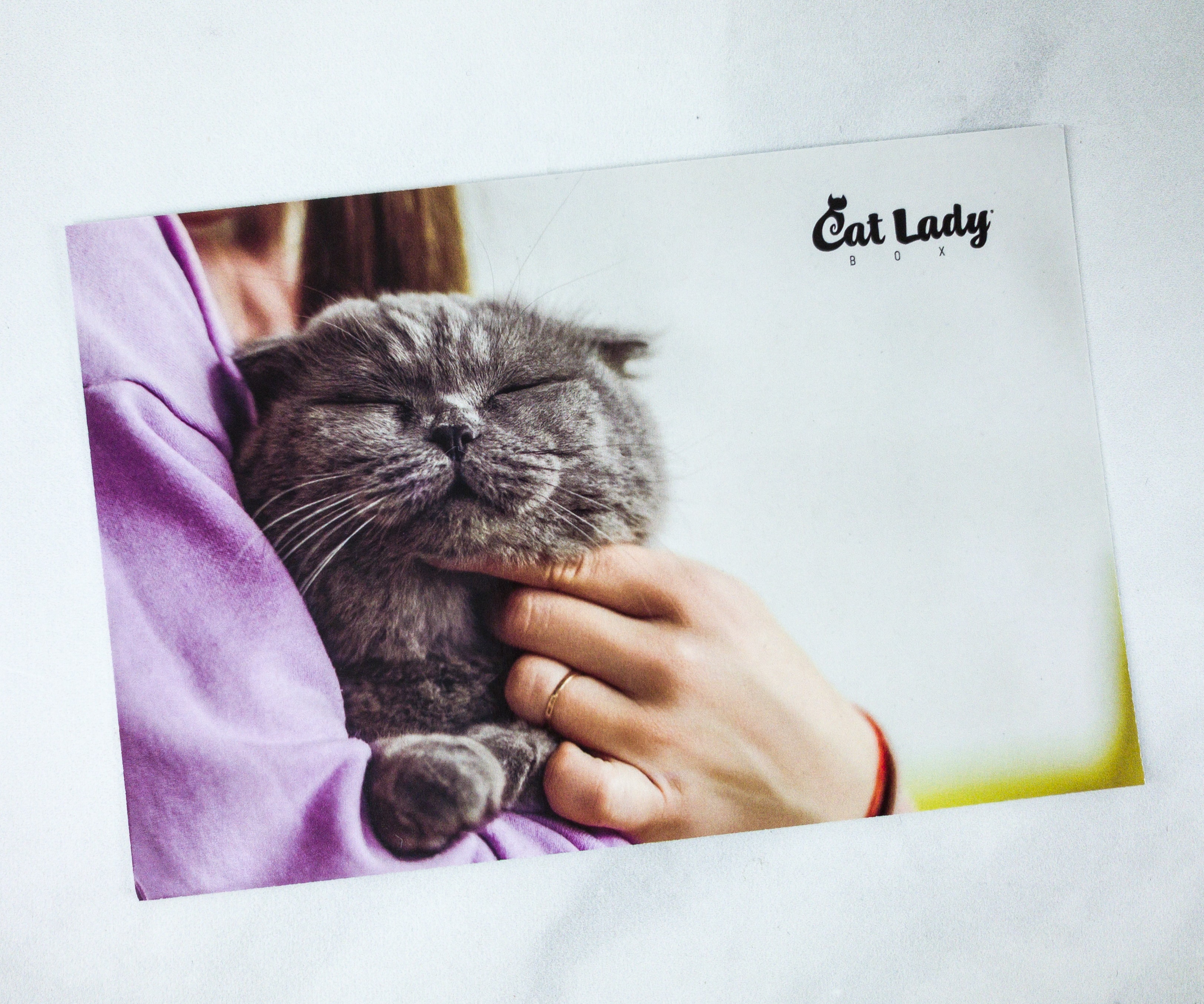 Cat Lady Box April Subscription Box Review Garden Pawty Hello Subscription Cat Lady Box April Subscription Box Review Garden Pawty Hello Subscription