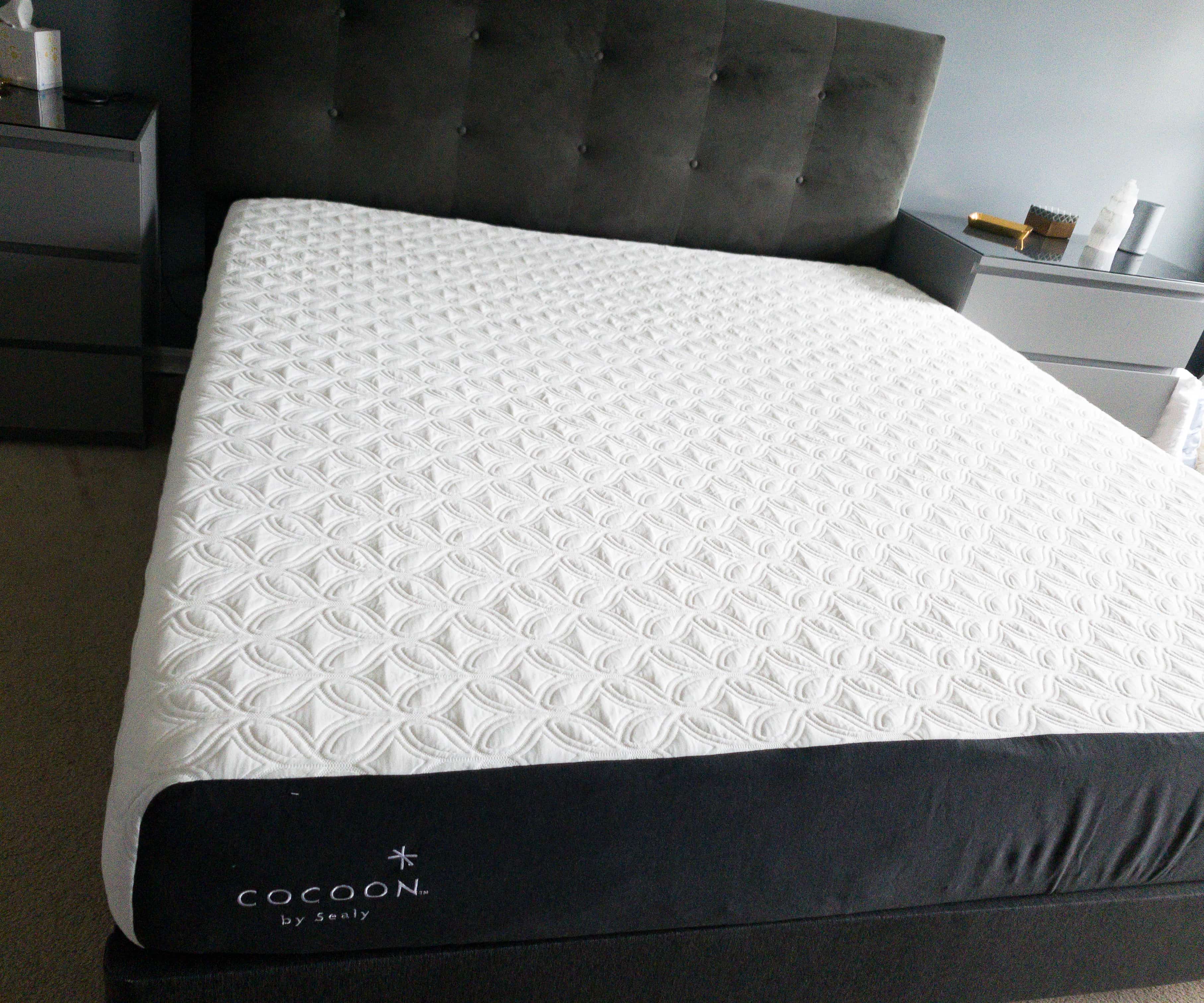 sealy cocoon firm king mattress