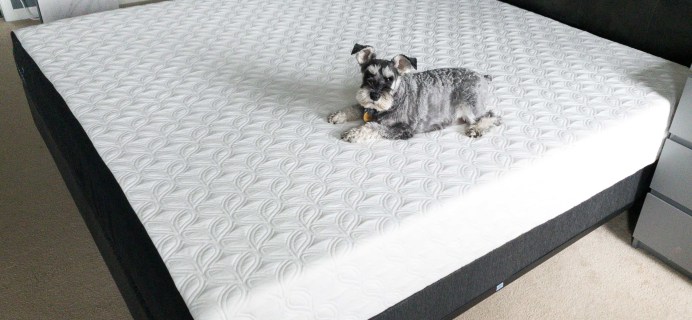 Cocoon By Sealy Premium Mattress In A Box Review!