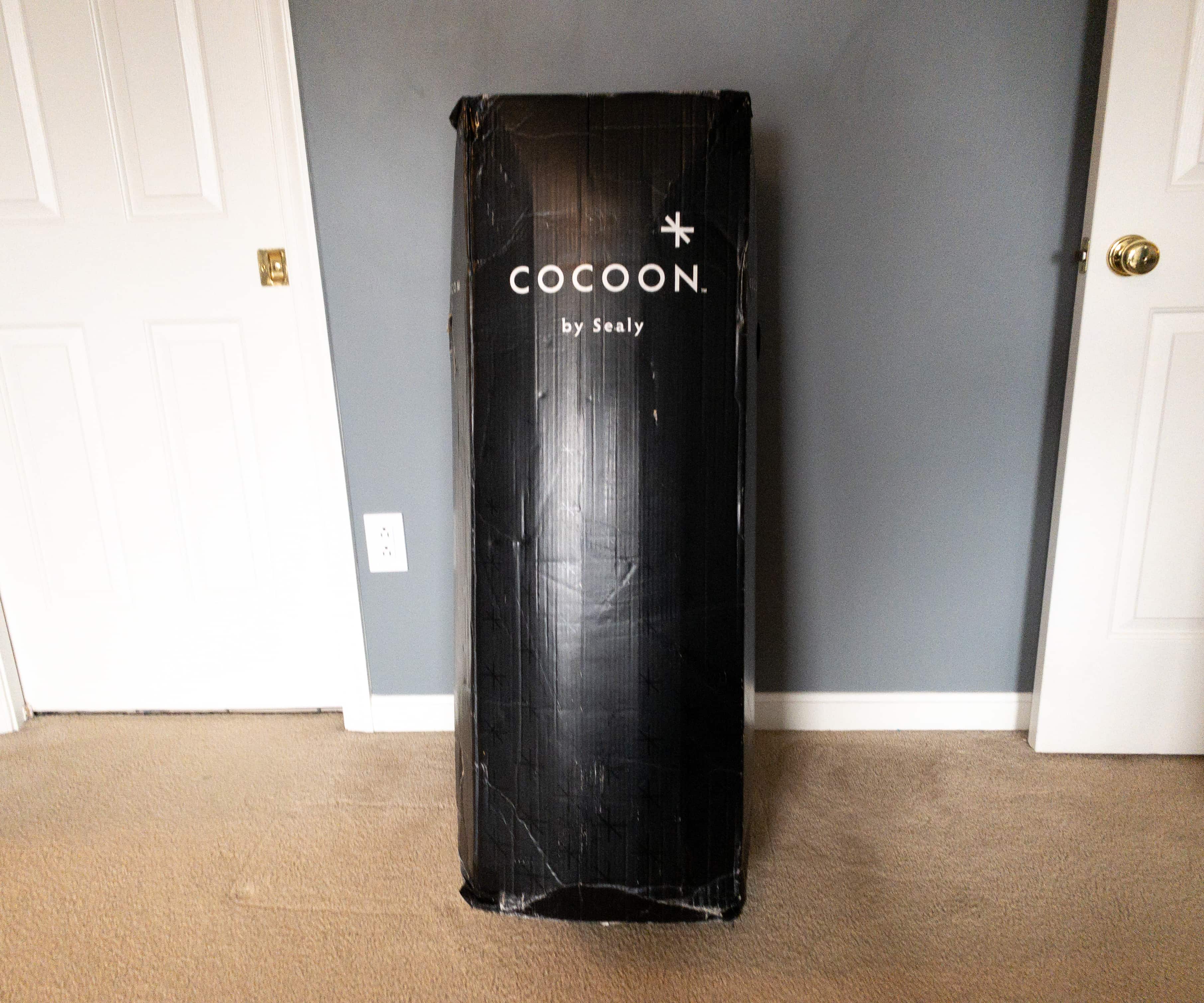 sealy cocoon mattress foundation