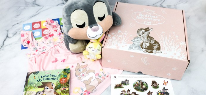 Disney Bedtime Adventure Subscription Box Review – April 2020