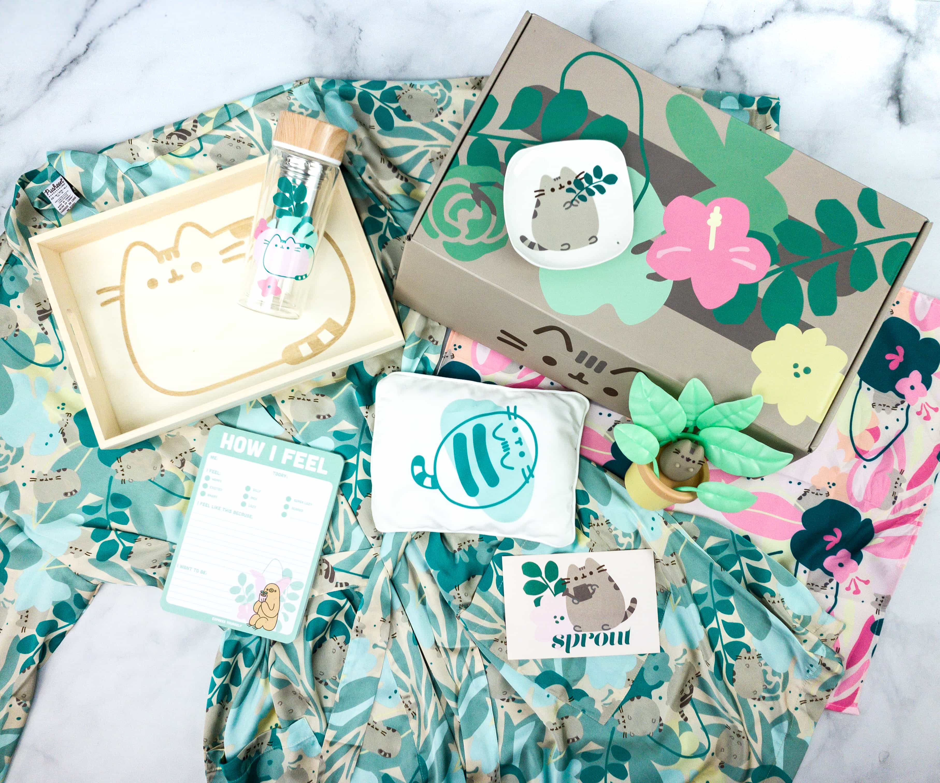 Pusheen Box Review Spring 2020 Hello Subscription