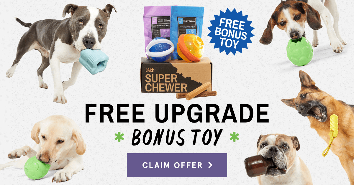 BarkBox Super Chewer Coupon: Get FREE 