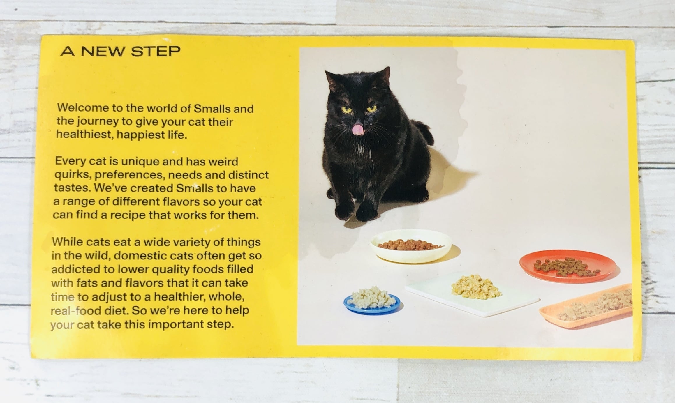 Smalls Cat Food Subscription Box Review + Coupon! Hello Subscription