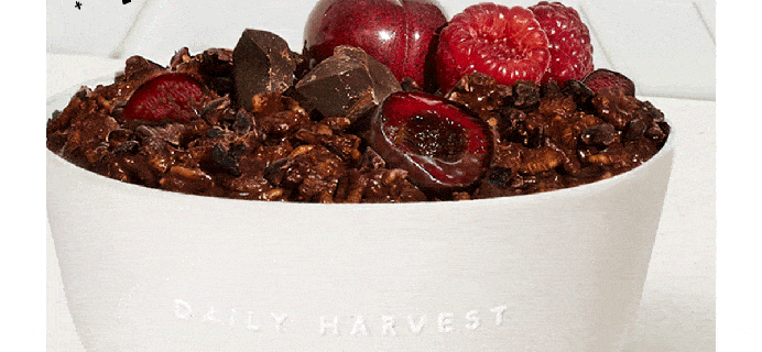 Daily Harvest Cherry + Dark Chocolate Oat Bowl Flavor Available Now + Coupon!