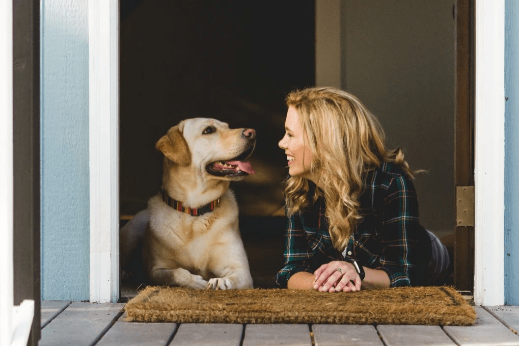 dog treat subscription