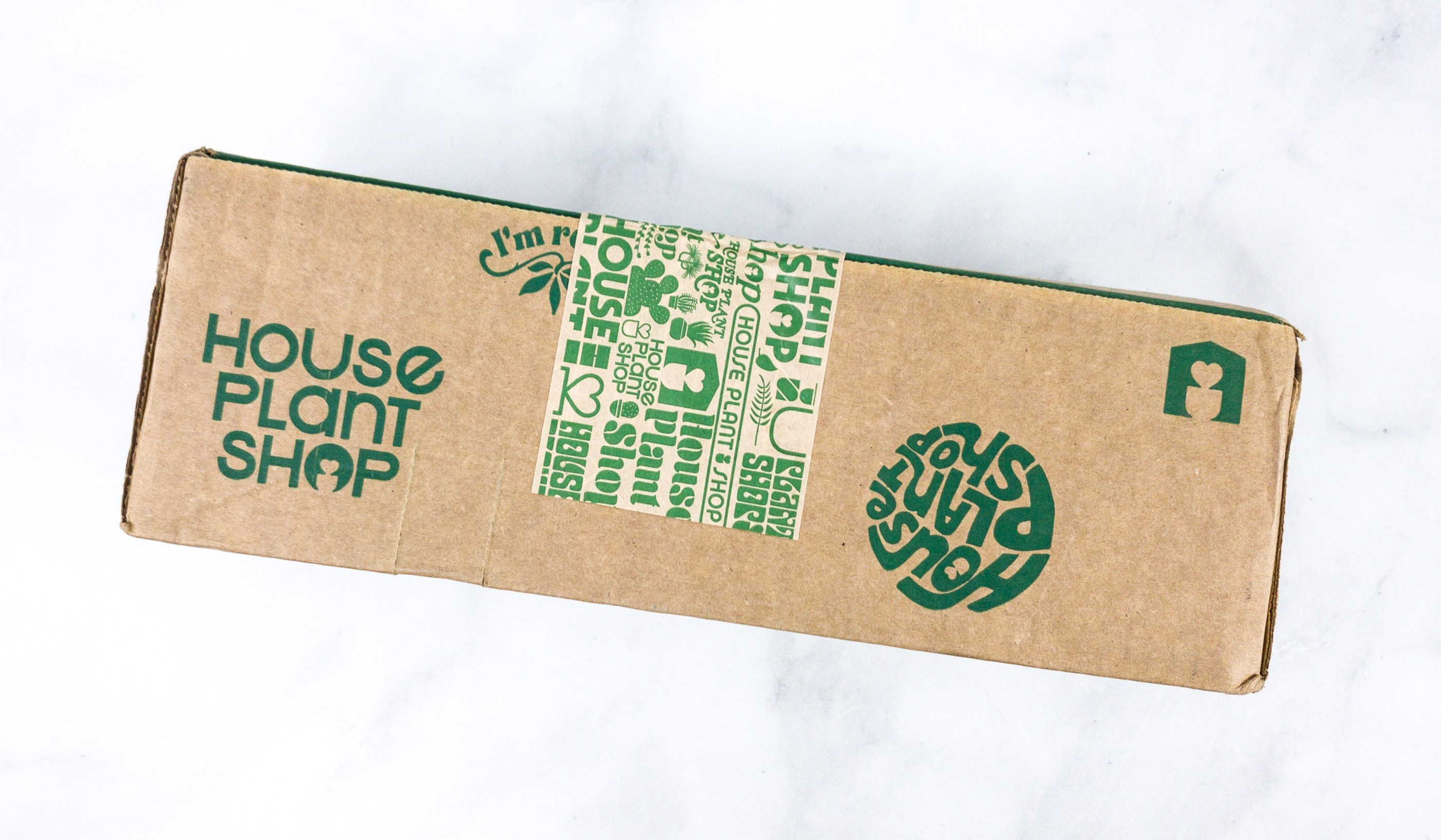 House Plant Box Review Hello Subscription