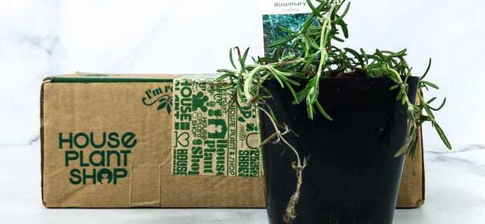 House Plant Box Review
