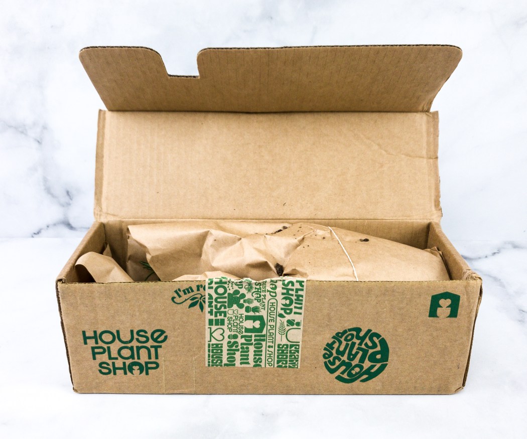 House Plant Box Review Hello Subscription