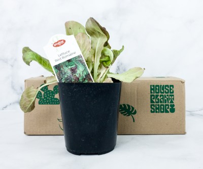 House Plant Box April 2021 Spoilers!