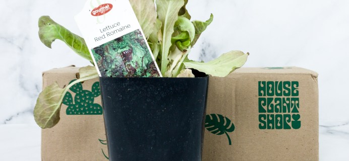 House Plant Box June 2020 Subscription Box Review