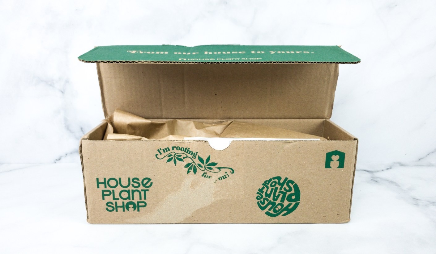House Plant Box June 2020 Subscription Box Review Hello Subscription