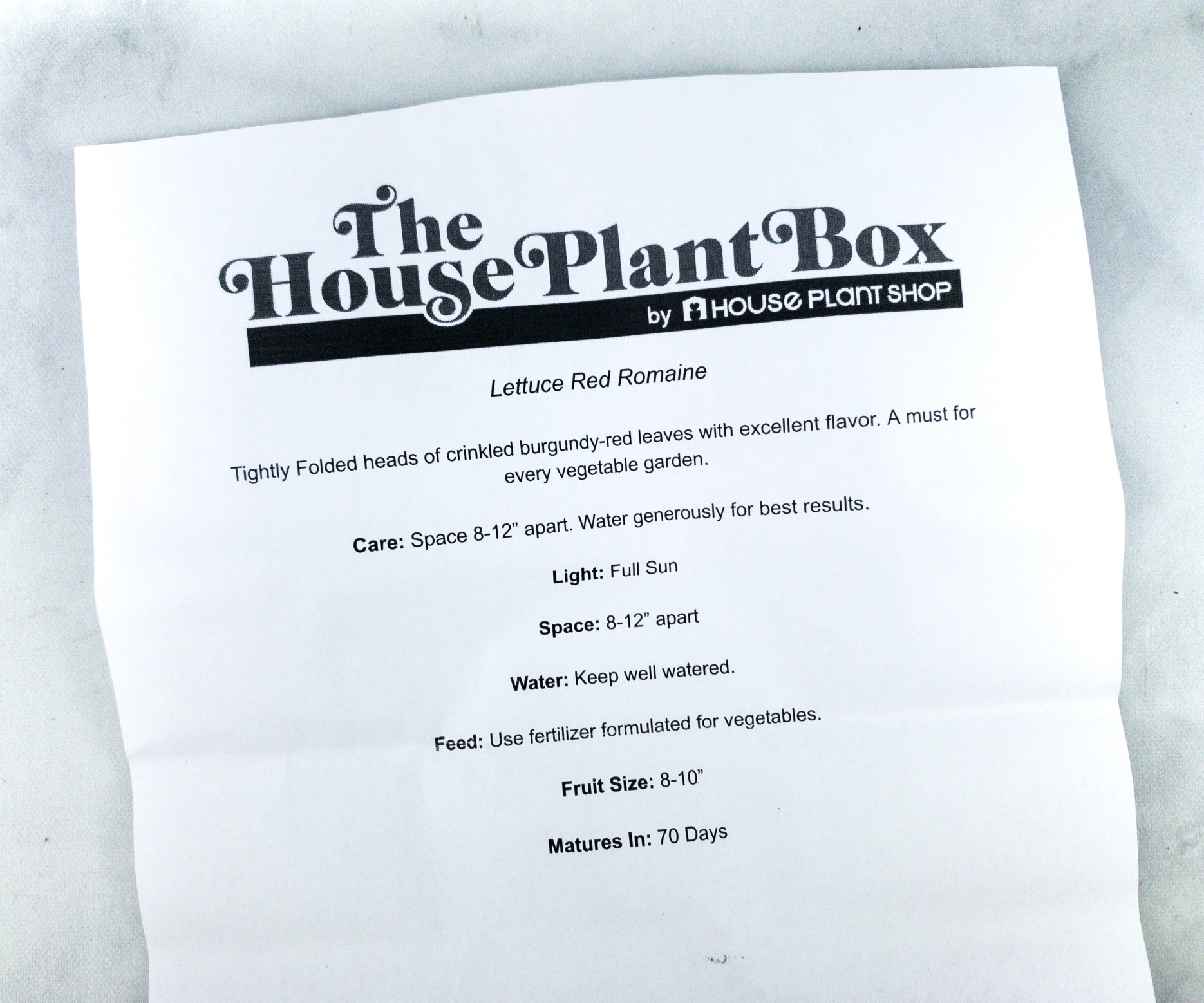 House Plant Box June 2020 Subscription Box Review Hello Subscription