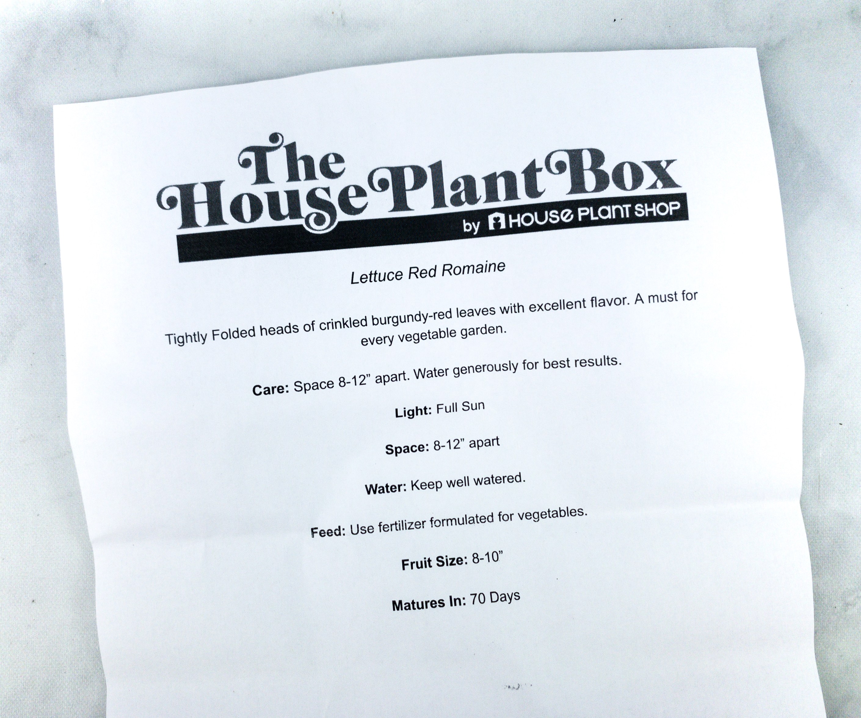 House Plant Box June 2020 Subscription Box Review Hello Subscription