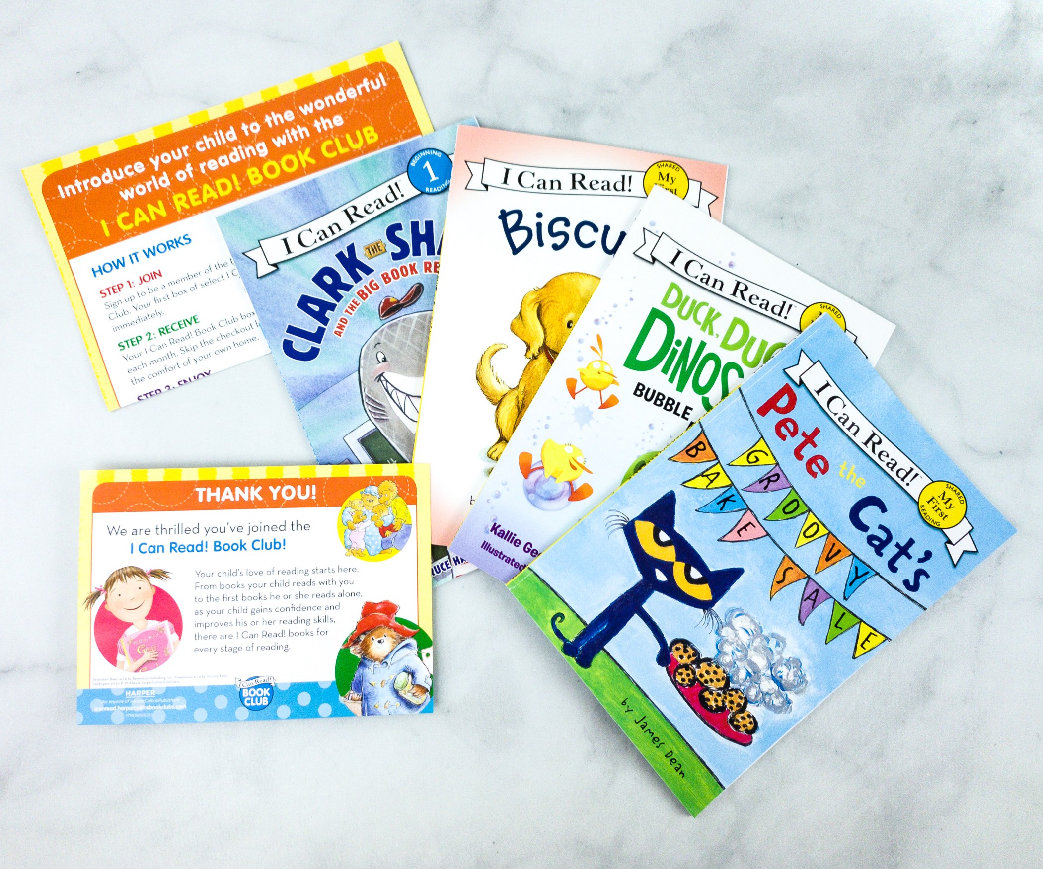 i can read book club box
