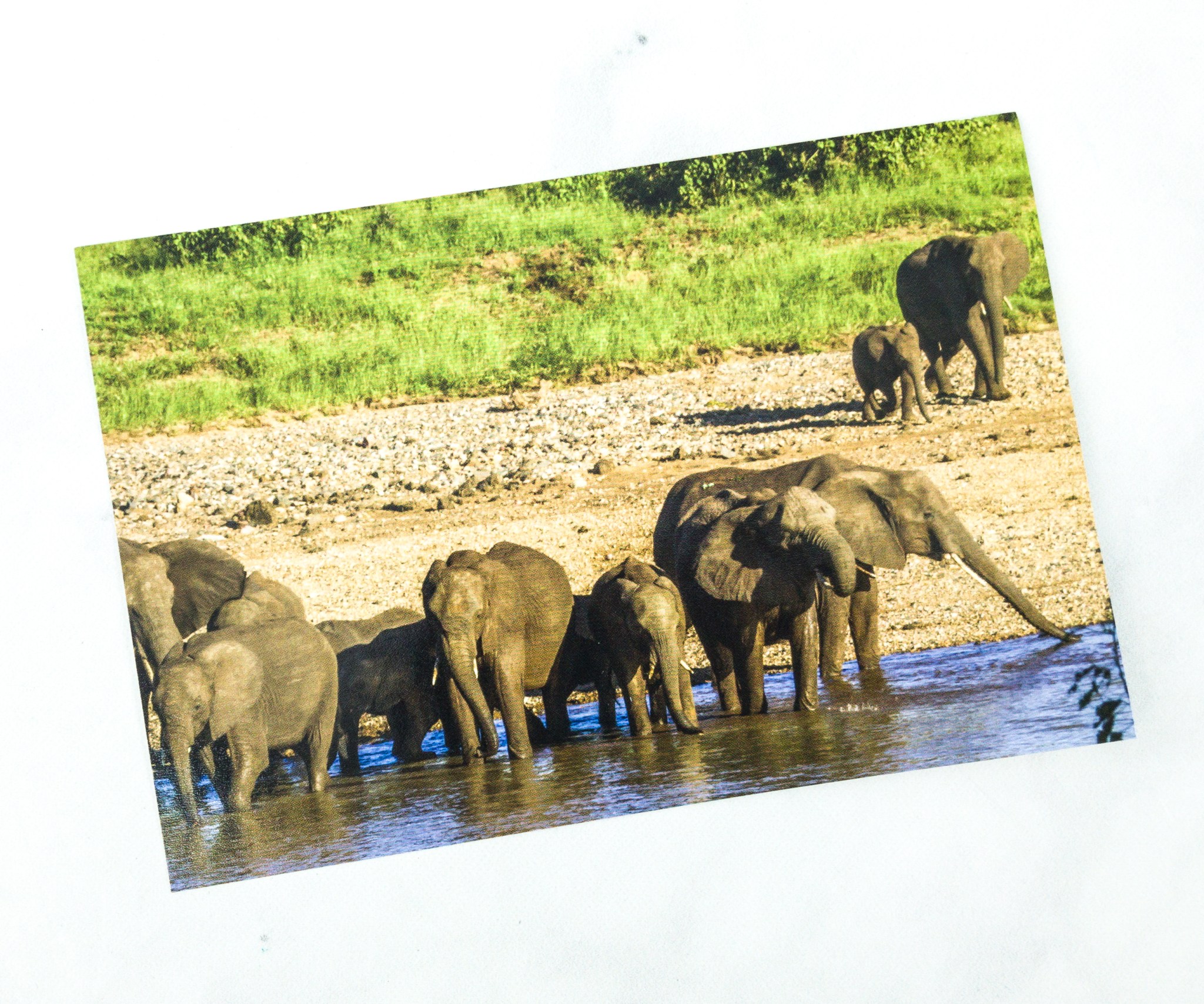 Little Passports World Edition Subscription Box Review + Coupon - SOUTH ...