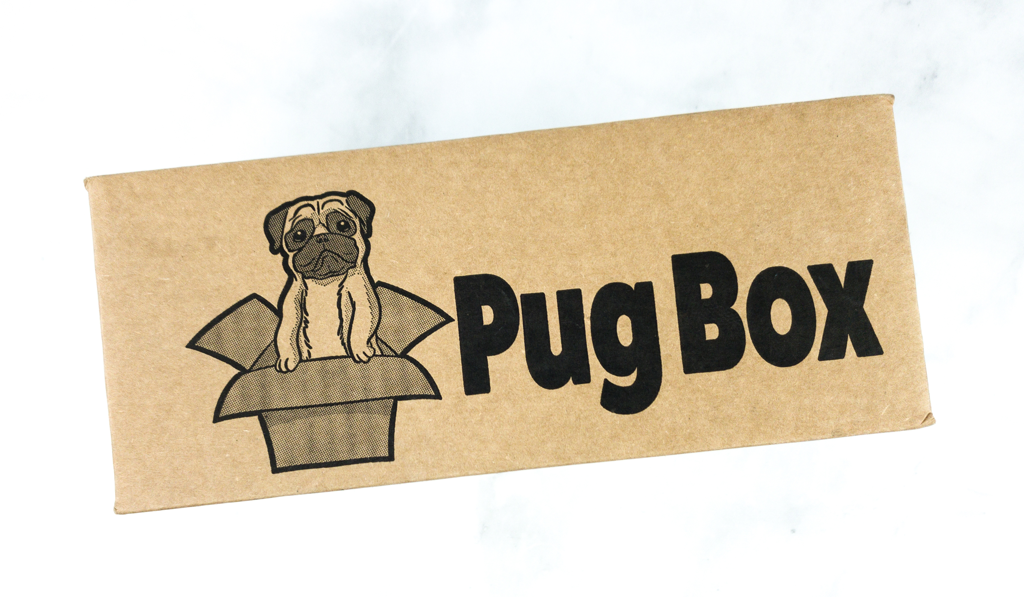 Box shop a pug