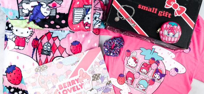 Hello Kitty and Friends February 2020 Subscription Box Review + Coupon!