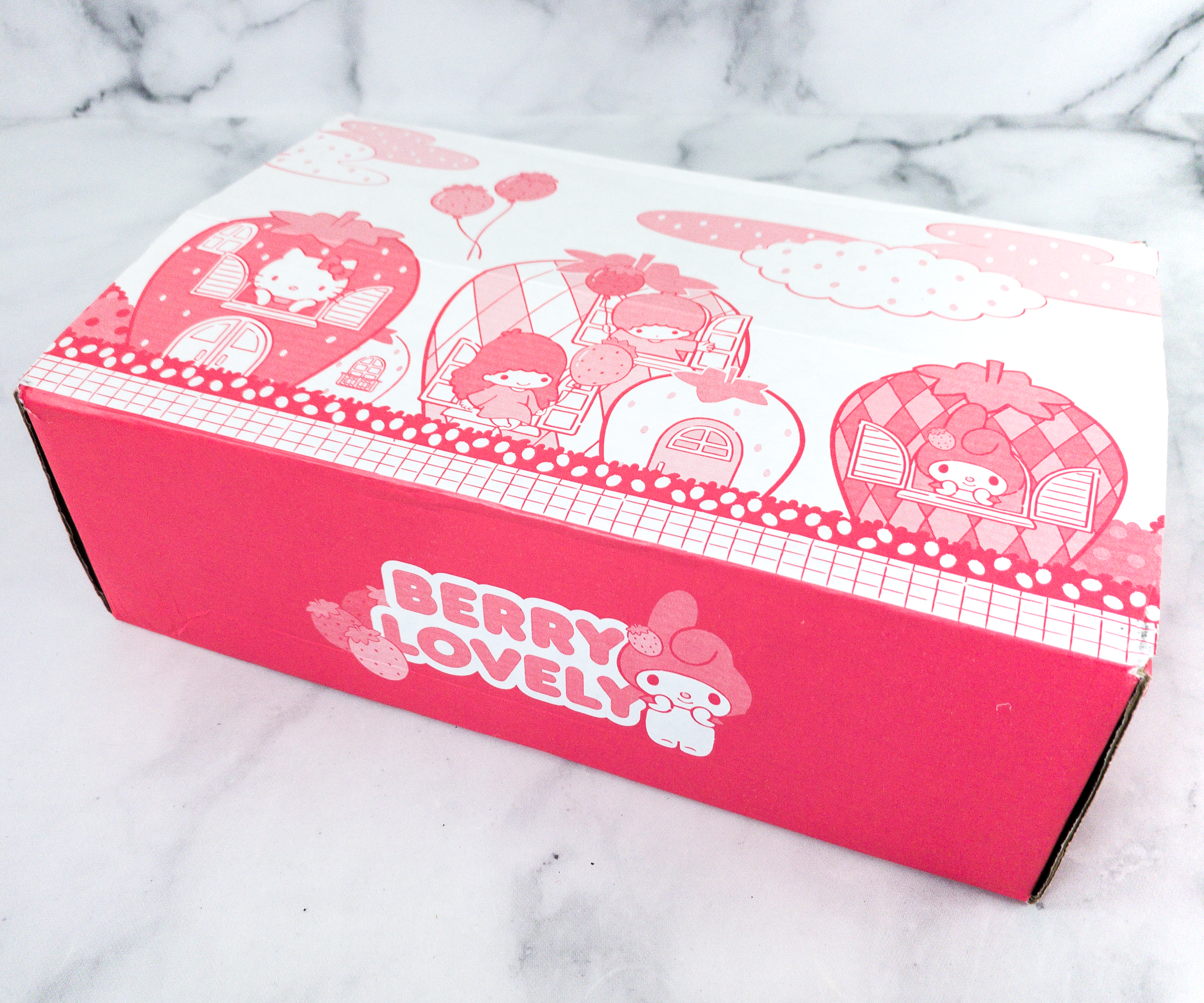 Hello Kitty And Friends February 2020 Subscription Box Review + Coupon ...