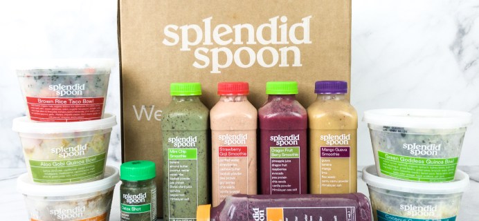 Splendid Spoon Review + Coupon – Summer 2020