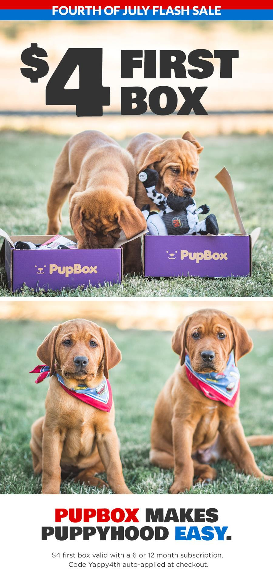 pupbox coupons