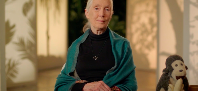 MasterClass Dr. Jane Goodall Conservation Class Review