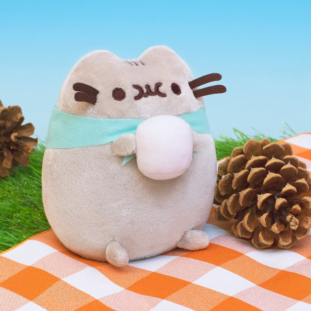 Pusheen Box Summer 2020 Spoiler 3! Hello Subscription