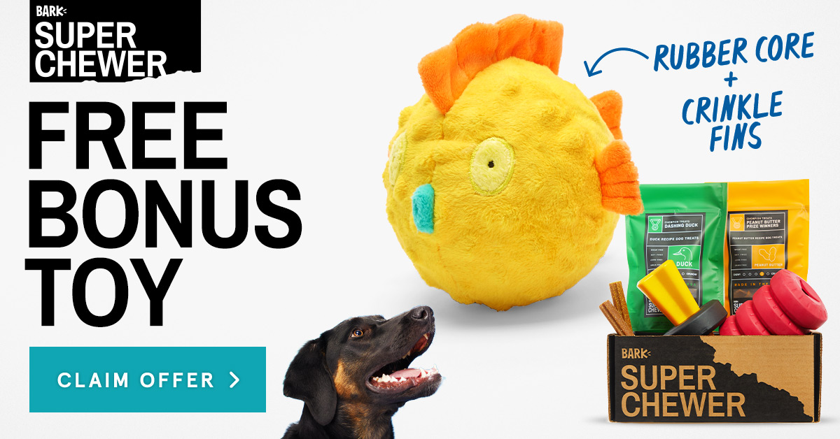 barkbox super chewer deals