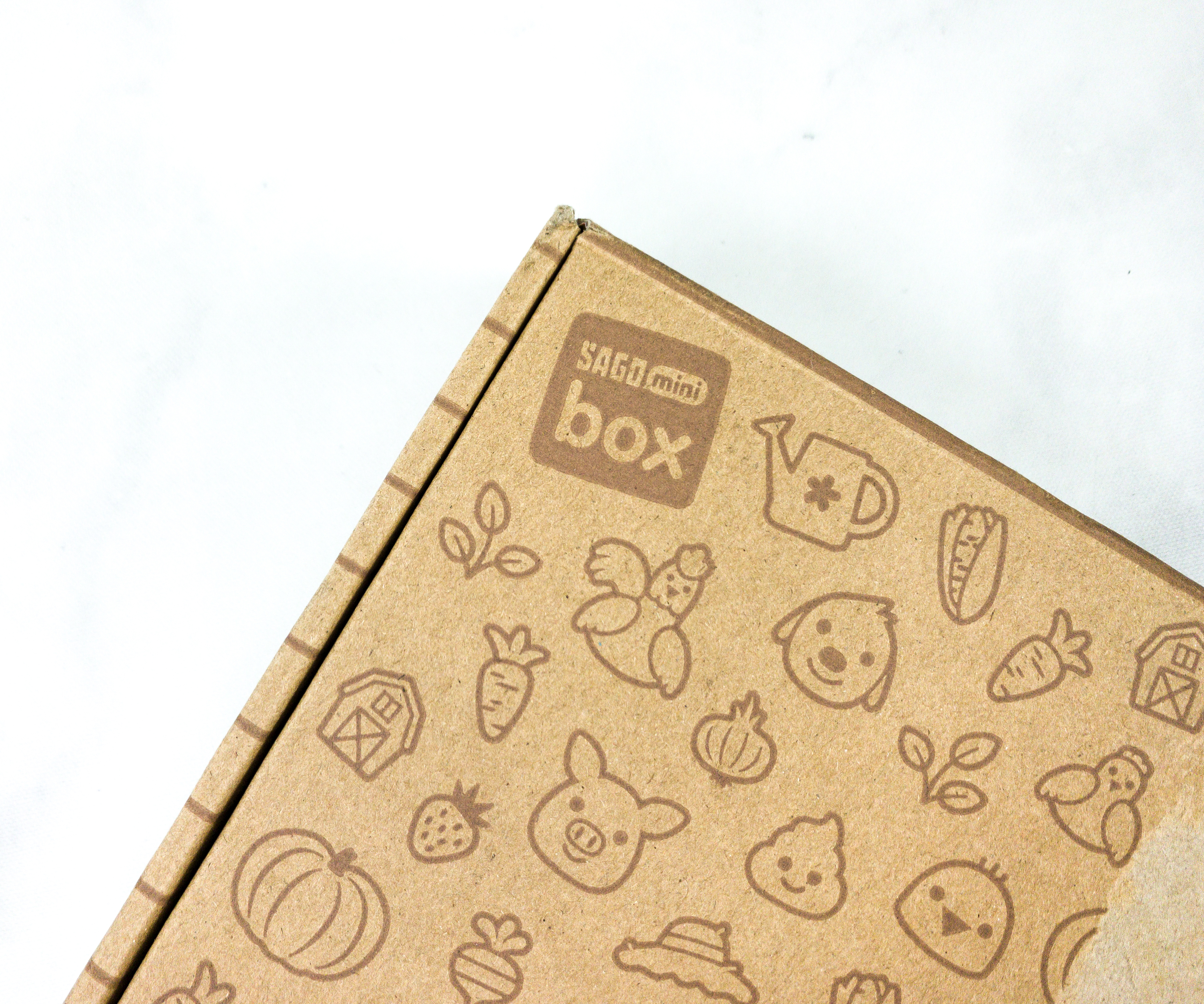 Sago Mini Box March 2020 Subscription Box Review + Coupon - FAIRY TALES! -  Hello Subscription