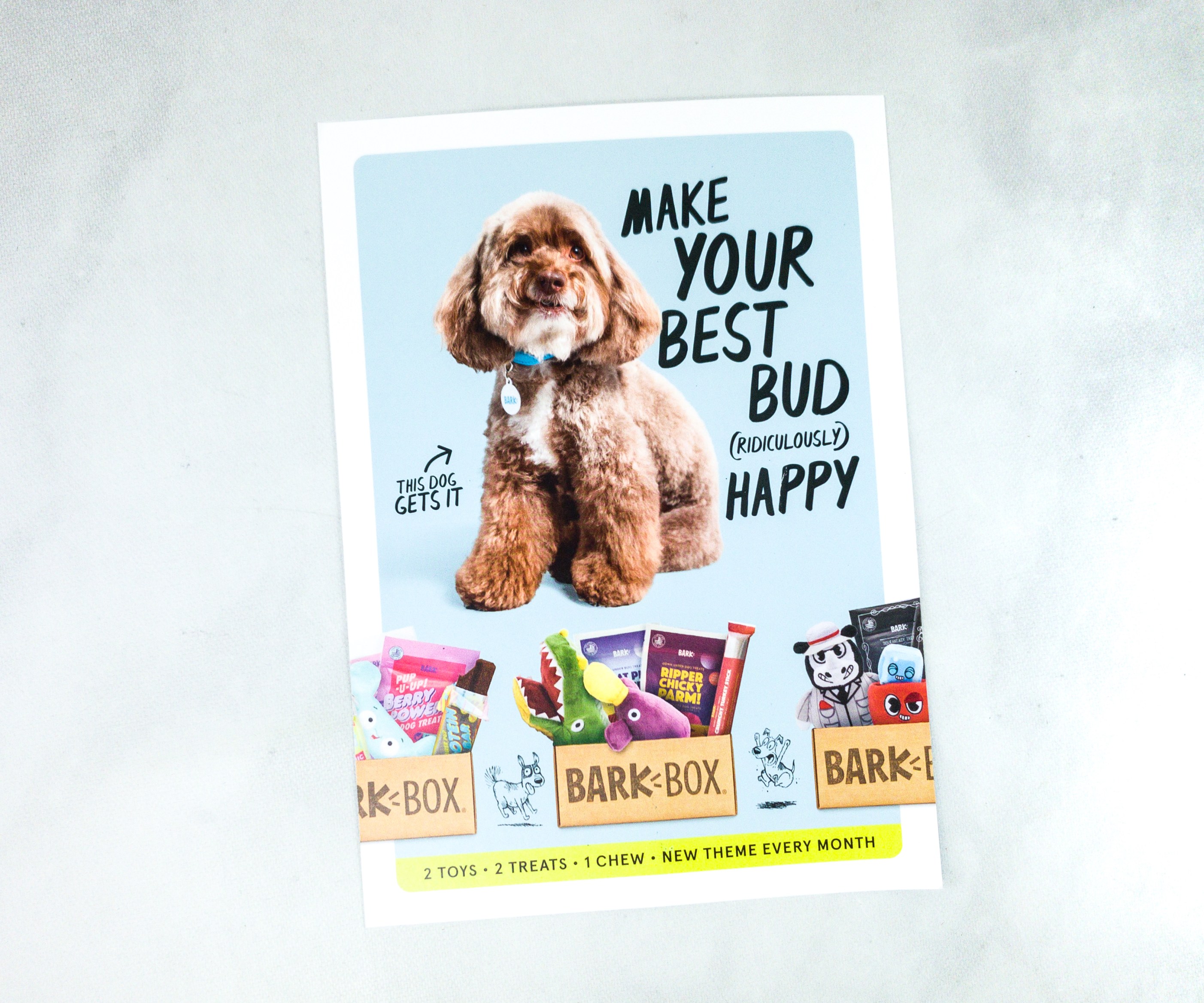 Barkbox August 2020 Subscription Box Review + Coupon hello subscription