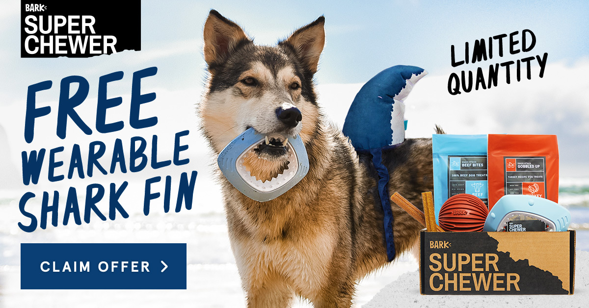 Shark bark dog on sale treats