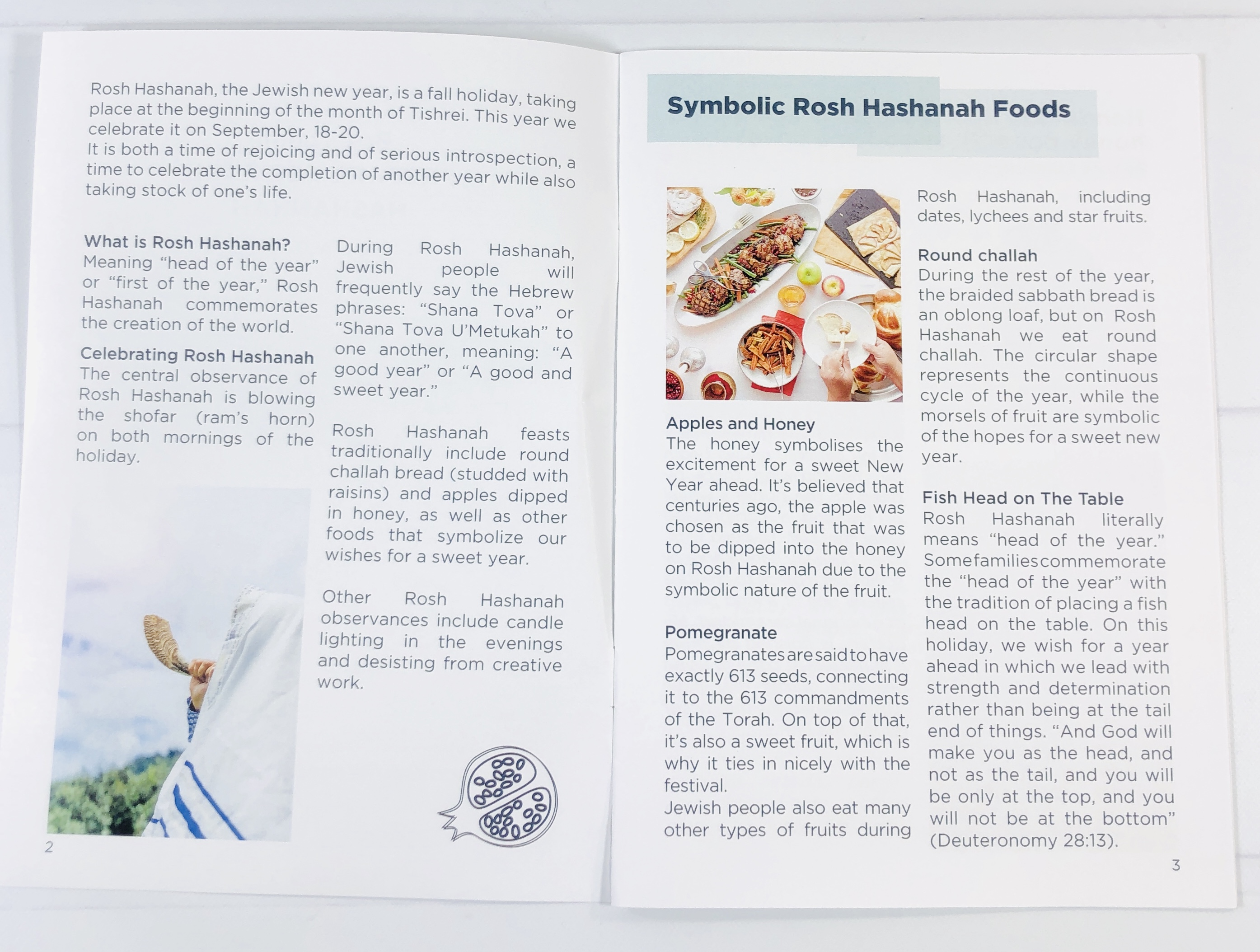 Israel Pack July 2020 Subscription Box Review + Coupon! - hello subscription