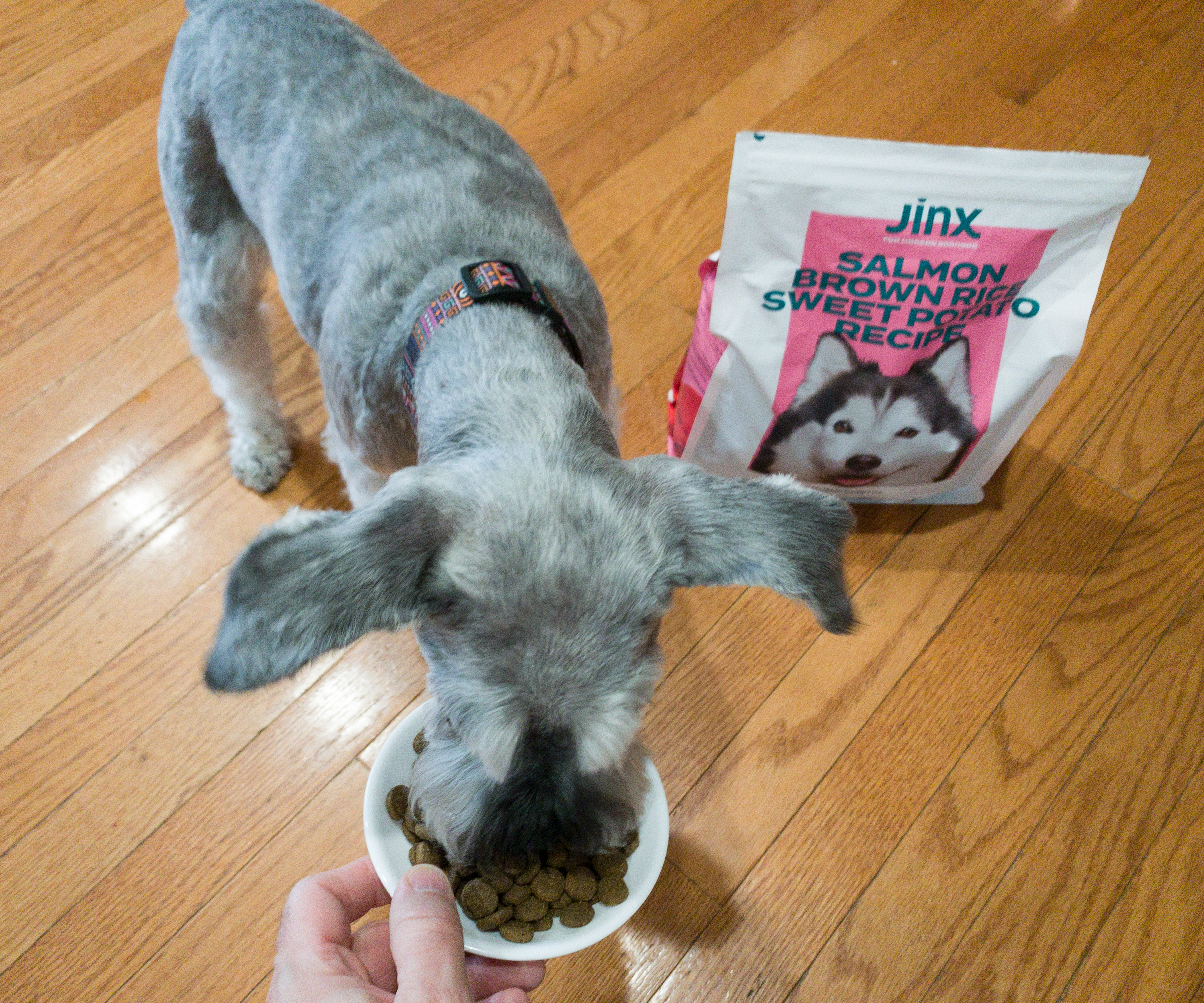 Jinx Dog Food Subscription Review + Coupon - hello subscription