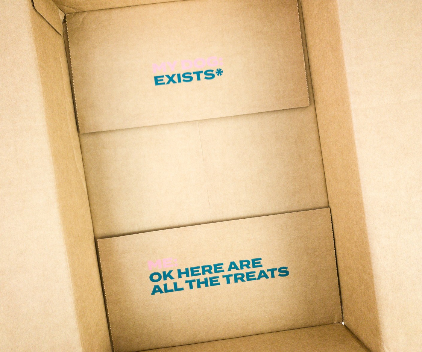 Jinx Dog Food Subscription Review + Coupon Hello Subscription