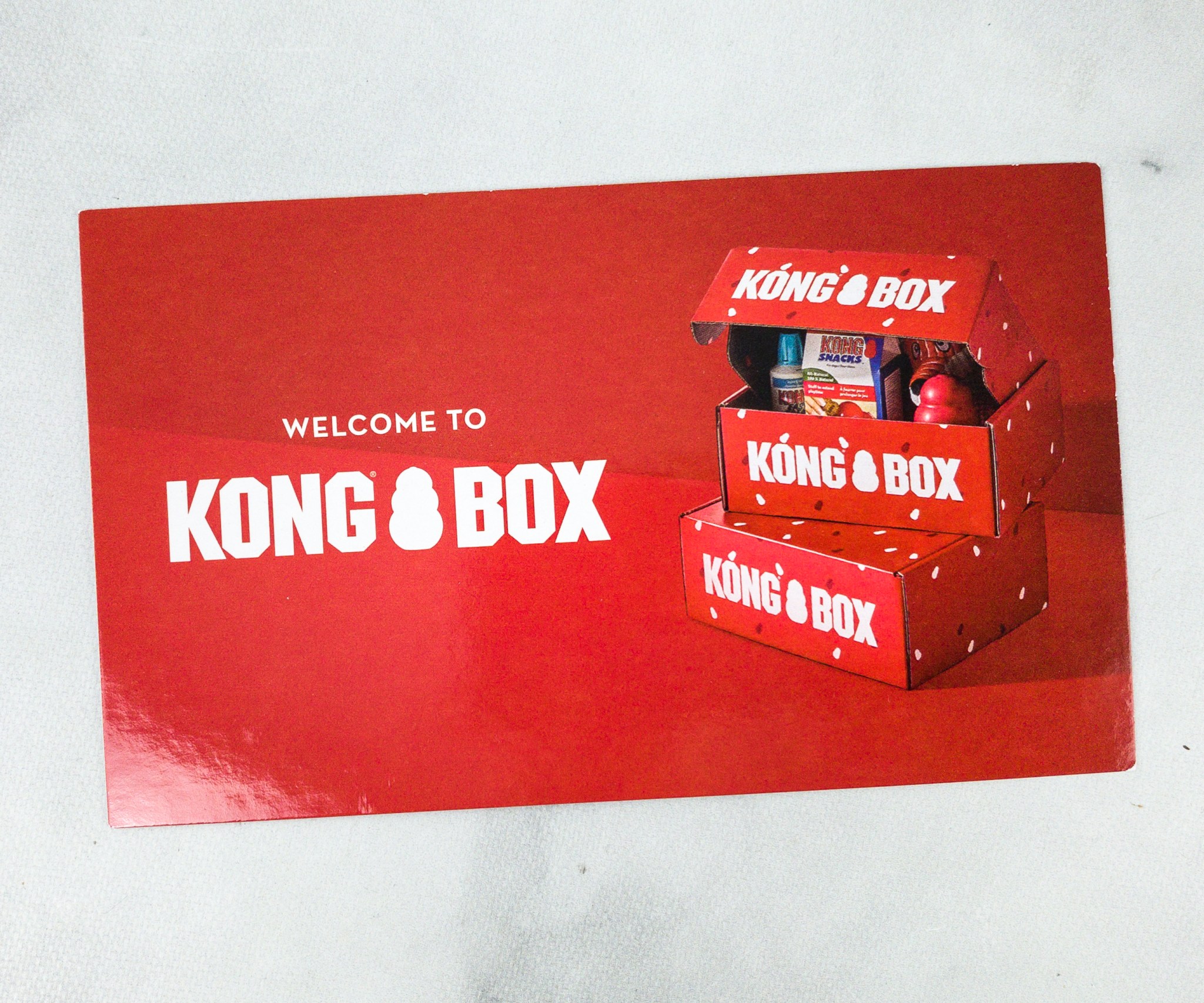 Kong Box August 2020 Subscription Box Review + Coupon! Hello Subscription