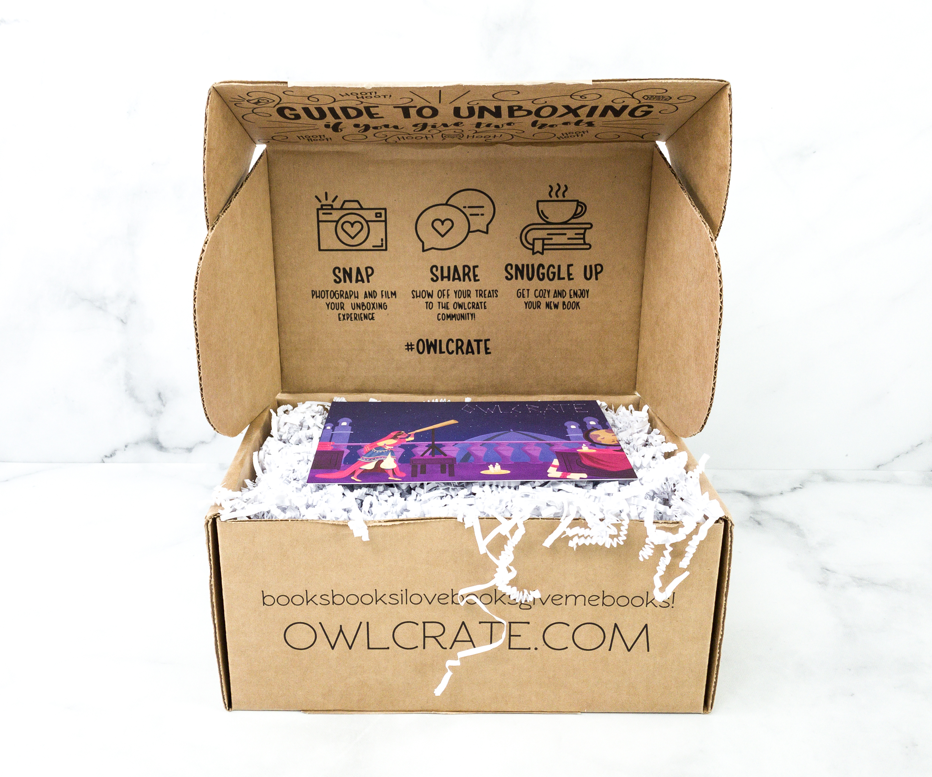 OwlCrate 'THE CHOSEN ONES' Box