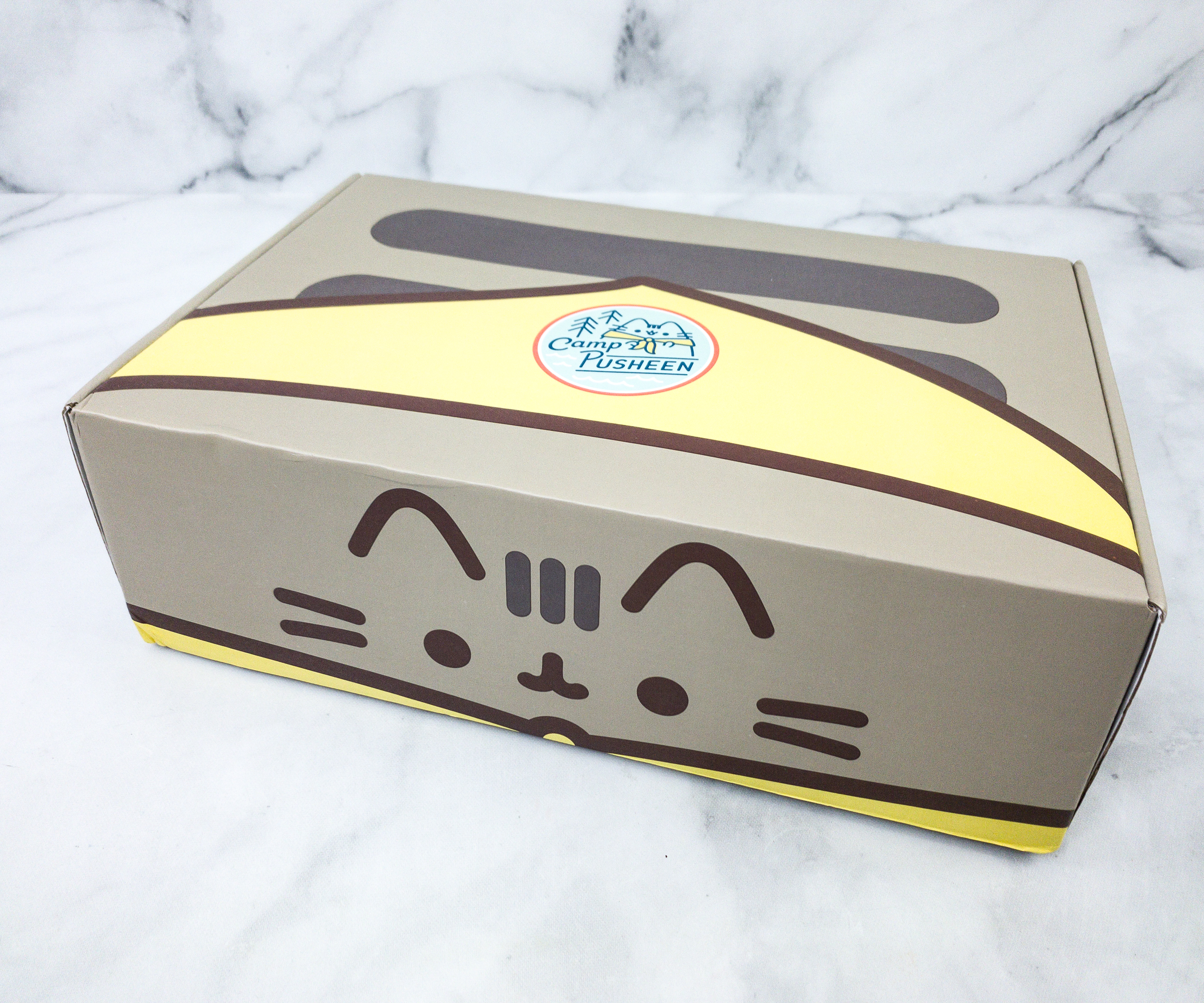 Pusheen Box Review - Summer 2020 - hello subscription