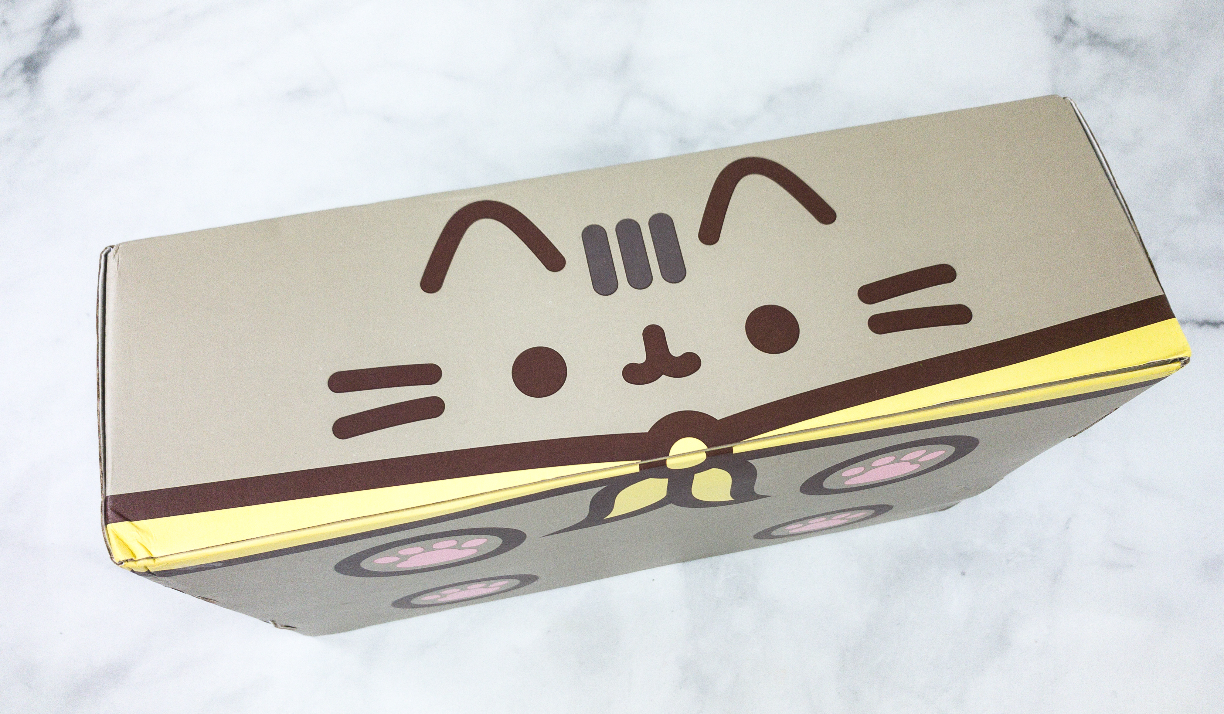 Pusheen Box Review - Summer 2020 - Hello Subscription