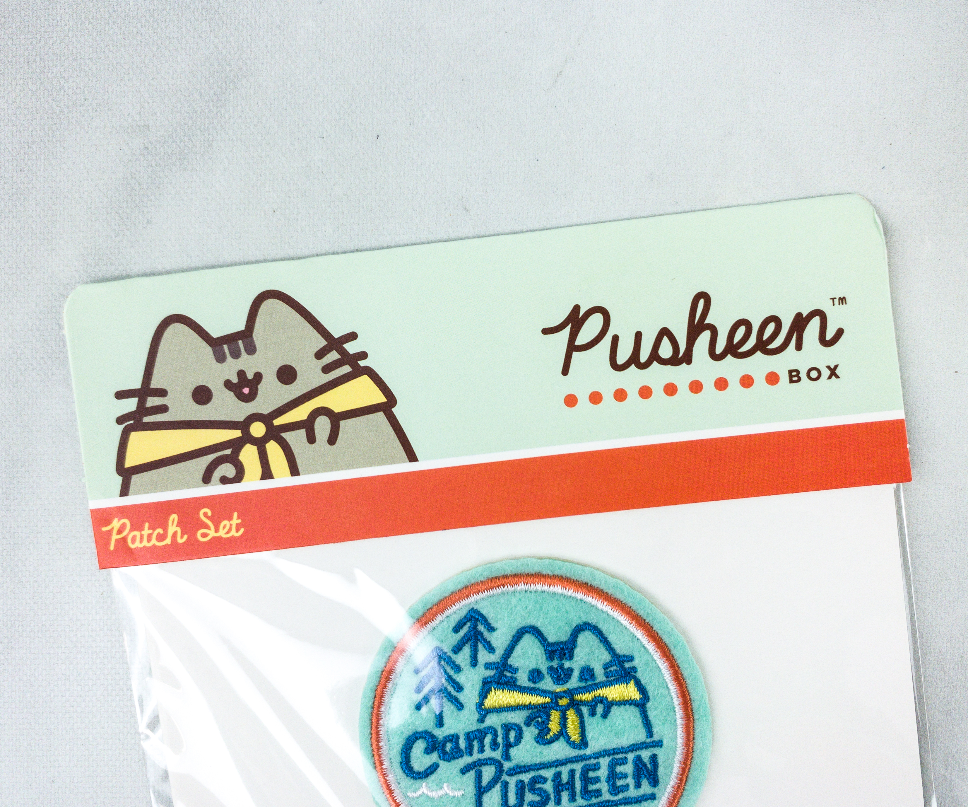 pusheen 2020 winter box