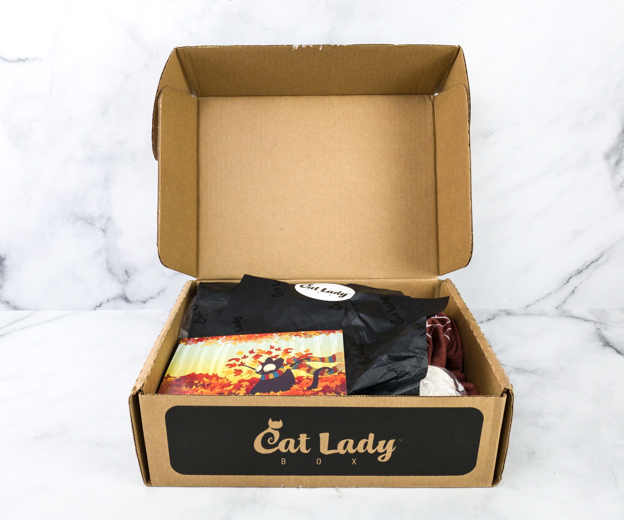 Cat Lady Box September 2020 Subscription Box Review COZY CATS hello