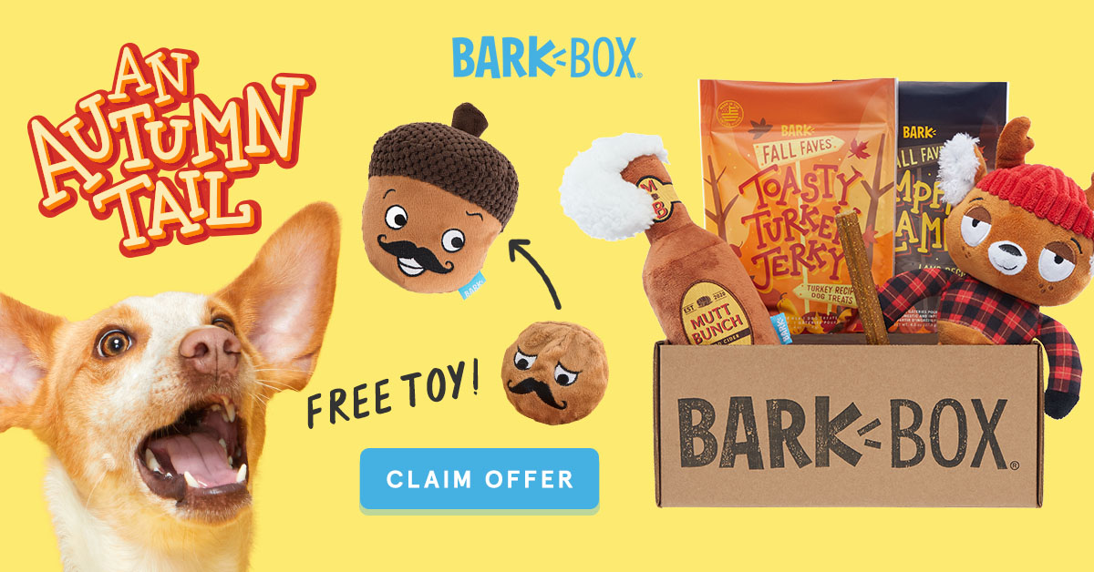 Barkbox Free Bonus Acorn Toy